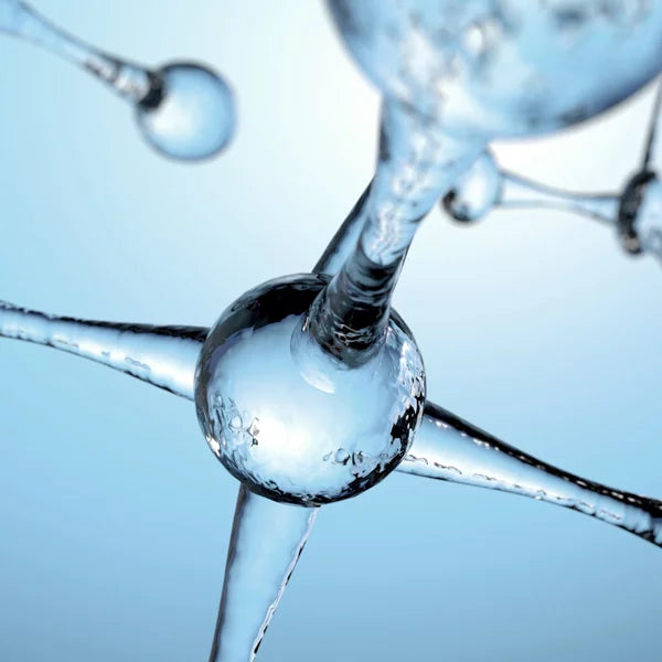 Acide hyaluronique naturel