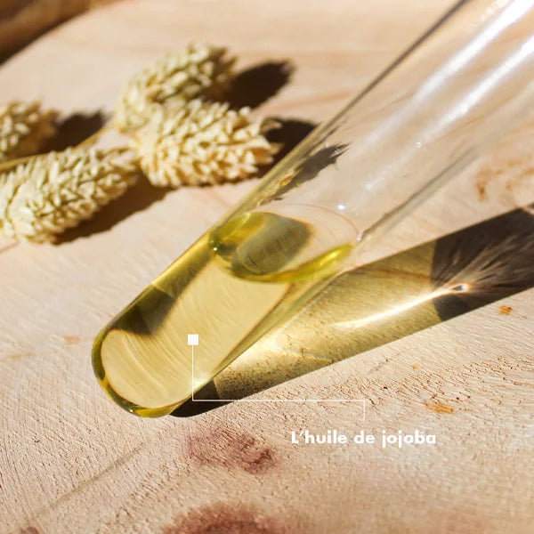 L'huile de jojoba