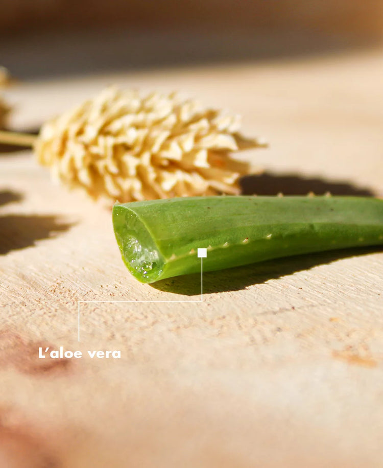 L'Aloe Vera