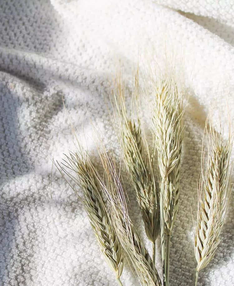 La Protéine de blé hydrolysée