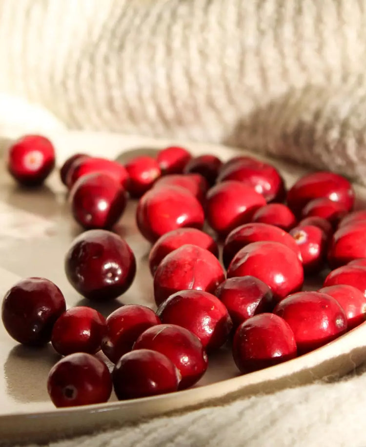 L'extrait de Canneberge