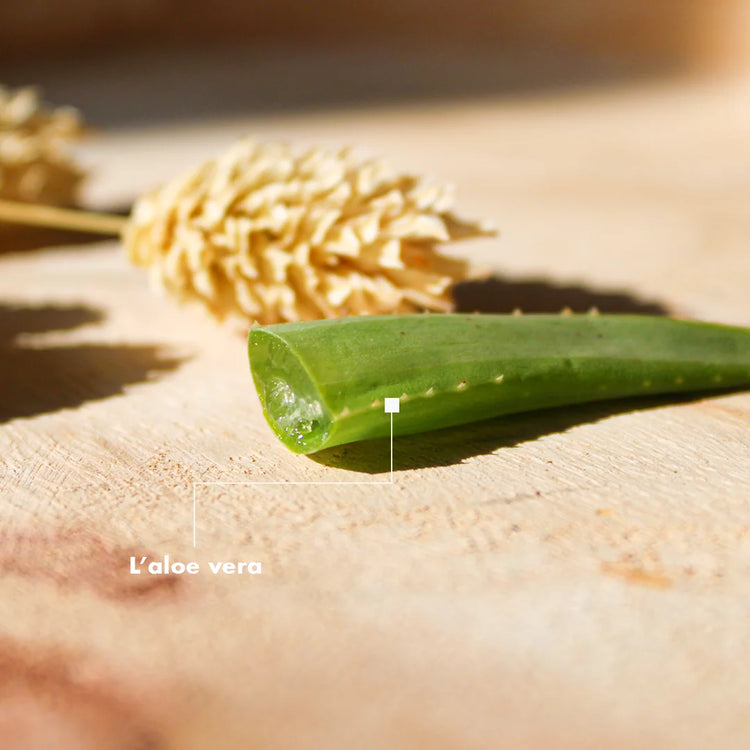 97 aloe vera gel Aloe Vera Gel 97% - Merino main image 0