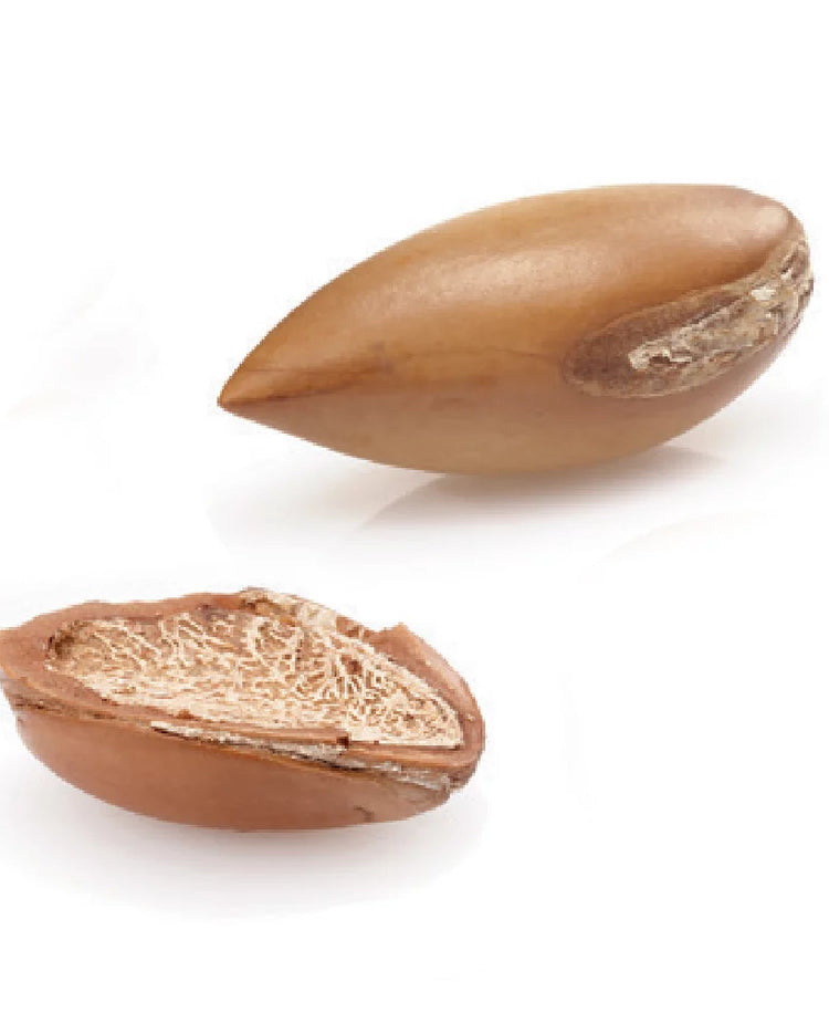 L'huile d'argan
